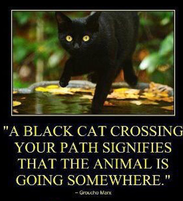 "A black cat crossing your path signifies that the animal is going somewhere." - Groucho Marx