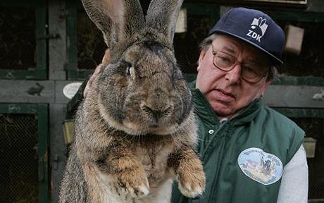 Karl Szmolinsky and his rabbit "Robert", the World's Largest Rabbit
