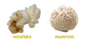 two shape types of popcorn